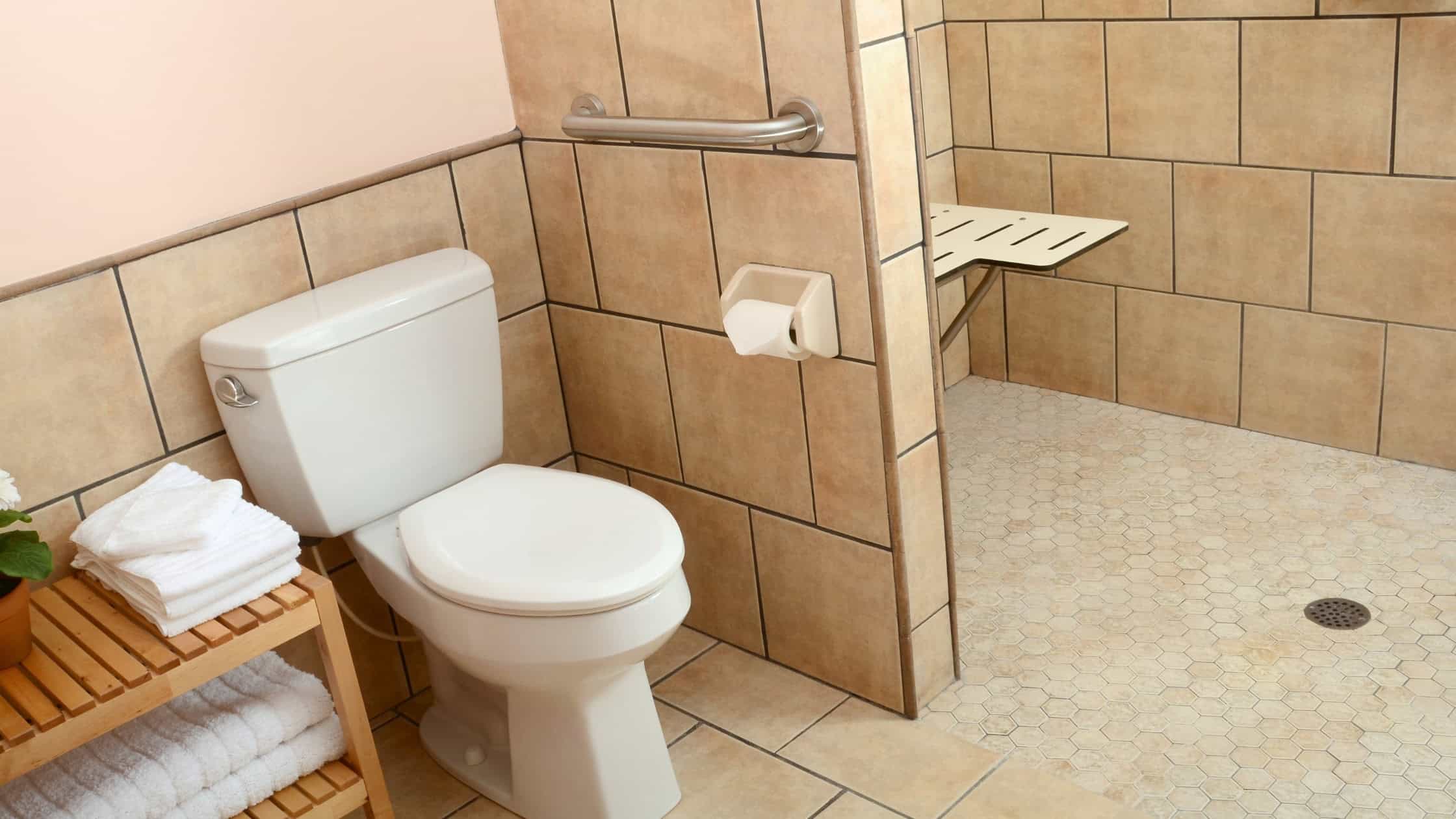 Accessible bathroom with walk-in shower and grab bars for safety.